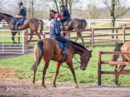 BP240223-40 - Unit Sixtyfour off to the gallops